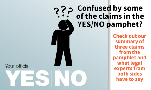 Claims Yes No Referendum Pamphlet