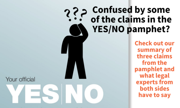 Yes No Referendum Pamphlet